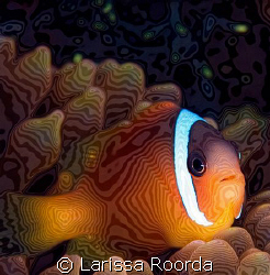 Baby Clownfish Fan-t-Sea artwork. by Larissa Roorda 